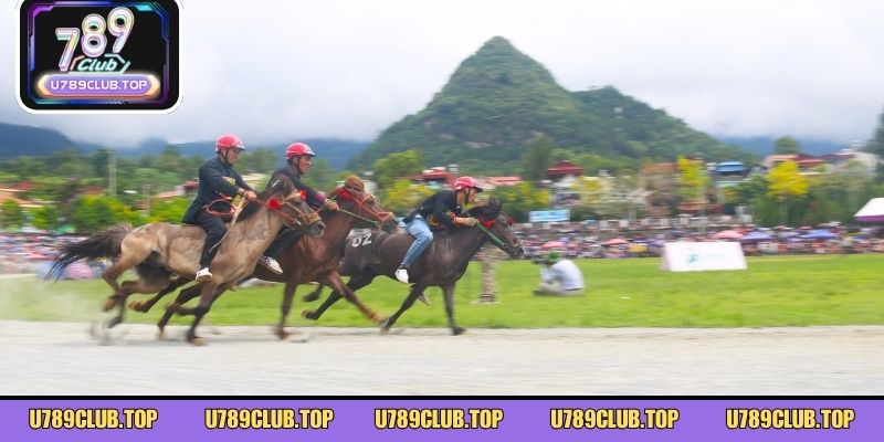 Hành trình hình thành và phát triển của bộ môn đua ngựa