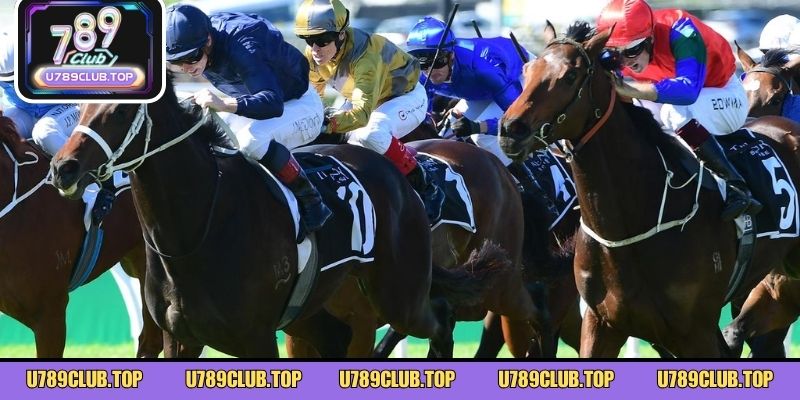 Danh sách các phân hạng đối tượng đua ngựa chuẩn