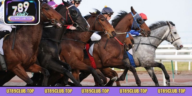 Luật chơi đua ngựa mới nhất bạn cần nắm