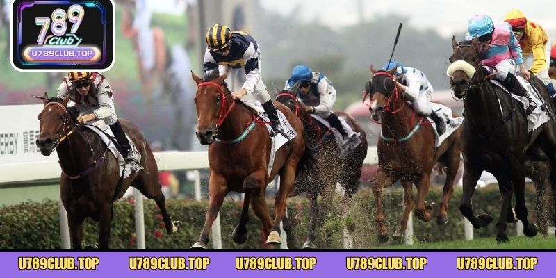 Tìm hiểu tổng quan về bộ môn đua ngựa hấp dẫn