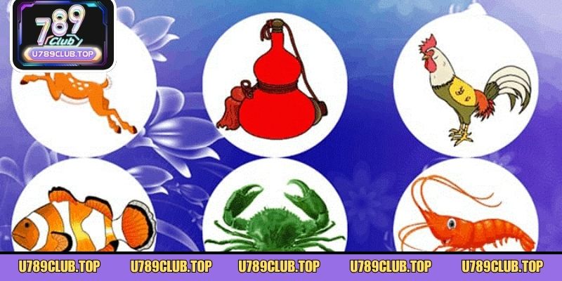 Tránh ngay sai lầm khi áp dụng mẹo lắc bầu cua